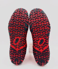 ASICS Aggressor Wrestling shoe